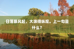 日落暴风起，大浪得纵观。上一句是什么？