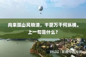 向来孤山风物清，千葩万干何纵横。上一句是什么？