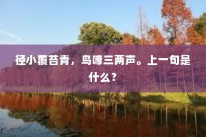 径小覆苔青，鸟啼三两声。上一句是什么？