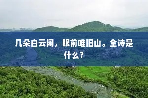 几朵白云闲，眼前唯旧山。全诗是什么？