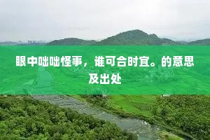眼中咄咄怪事，谁可合时宜。的意思及出处