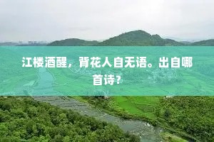 江楼酒醒，背花人自无语。出自哪首诗？