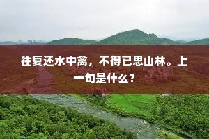 往复还水中禽，不得已思山林。上一句是什么？