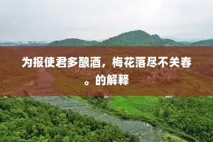 为报使君多酿酒，梅花落尽不关春。的解释