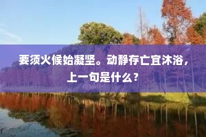 要须火候始凝坚。动静存亡宜沐浴，上一句是什么？