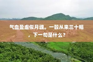 气血盈虚似月魂。一毂从来三十幅，下一句是什么？