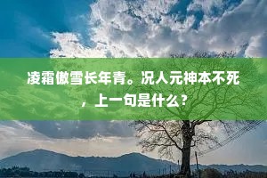 凌霜傲雪长年青。况人元神本不死，上一句是什么？
