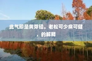 此气即是黄芽铅。老松可少病可健，的解释