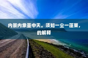 内景内象壶中天。须知一尘一蓬莱，的解释