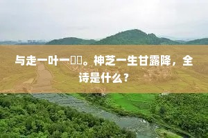 与走一叶一偓佺。神芝一生甘露降，全诗是什么？
