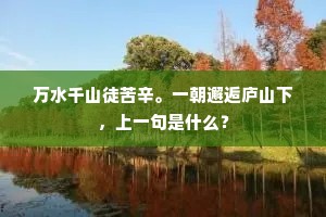 万水千山徒苦辛。一朝邂逅庐山下，上一句是什么？