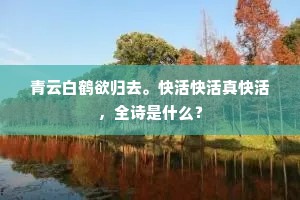 青云白鹤欲归去。快活快活真快活，全诗是什么？