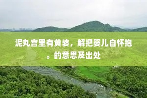 泥丸宫里有黄婆，解把婴儿自怀抱。的意思及出处