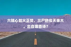 六贼心如火正焚，三尸胆似天来大。出自哪首诗？