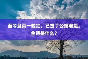而今且喜一粒红，已觉丁公婚老媪。全诗是什么？