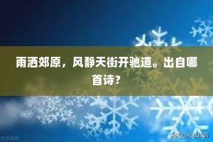 雨洒郊原，风静天街开驰道。出自哪首诗？