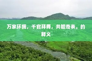 万家环拥，千官拜舞，共瞻奇表。的释义