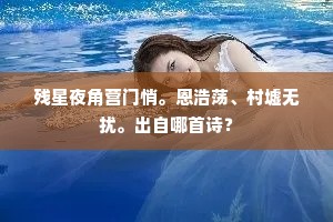 残星夜角营门悄。恩浩荡、村墟无扰。出自哪首诗？