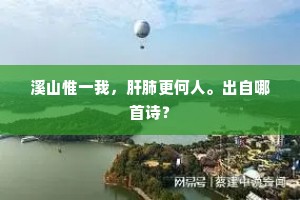 溪山惟一我，肝肺更何人。出自哪首诗？