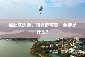 偶此来还否，相看梦与真。全诗是什么？
