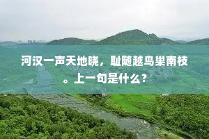 河汉一声天地晓，耻随越鸟巢南枝。上一句是什么？