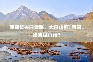 萍踪长寄白云隈，太白山前斸药来。出自哪首诗？