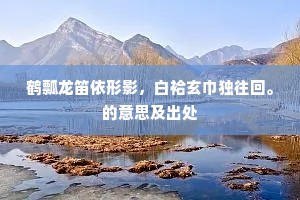 鹤瓢龙笛依形影，白袷玄巾独往回。的意思及出处