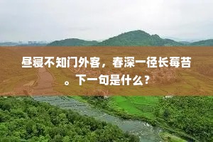 昼寝不知门外客，春深一径长莓苔。下一句是什么？