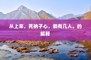 从上来，死衲子心，能有几人。的解释