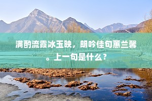 满酌流霞冰玉映，朗吟佳句蕙兰馨。上一句是什么？