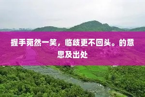 握手菀然一笑，临歧更不回头。的意思及出处