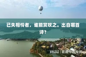 已失相怜者，谁能赏叹之。出自哪首诗？