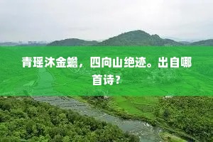 青瑶沐金蟾，四向山绝迹。出自哪首诗？