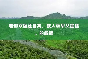 卷却双鱼还自笑，故人秋早又星槎。的解释