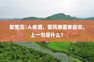 梨雪冱䃈人病酒，絮风撩面妾窥帘。上一句是什么？