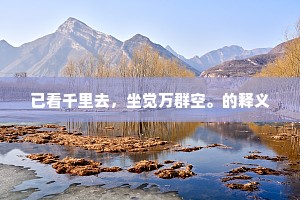 已看千里去，坐觉万群空。的释义