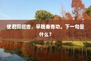 使君同揽辔，早晚奏奇功。下一句是什么？