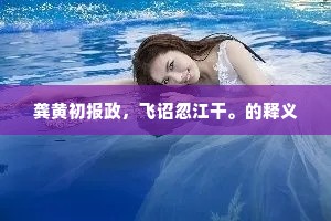 龚黄初报政，飞诏忽江干。的释义