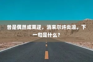 曾是偶然成莫逆，消来尔许炎凉。下一句是什么？
