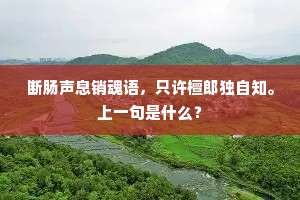 断肠声息销魂语，只许檀郎独自知。上一句是什么？