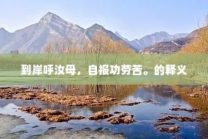 到岸呼汝母，自报功劳苦。的释义