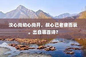 汝心尚幼心尚开，叔心已老疲而衰。出自哪首诗？