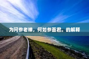 为问参老禅，何如参面君。的解释