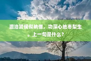 澹泊贤侯似衲僧，功深心地枣梨生。上一句是什么？