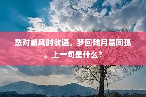 愁对峭风时欲语，梦回残月意同孤。上一句是什么？