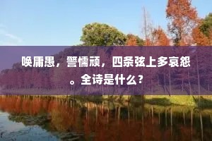 唤庸愚，警懦顽，四条弦上多哀怨。全诗是什么？