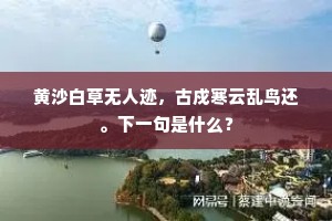 黄沙白草无人迹，古戍寒云乱鸟还。下一句是什么？
