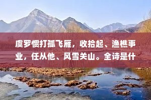 虞罗惯打孤飞雁，收拾起、渔樵事业，任从他、风雪关山。全诗是什么？