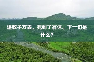 逐教子方去，死到了翁休。下一句是什么？