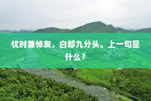 忧时兼悼友，白却九分头。上一句是什么？